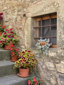 安布拉Helga's House- Una Finestra sul Borgo的相册照片