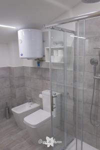 雷焦艾米利亚Casa di Irene的一间带卫生间和玻璃淋浴间的浴室