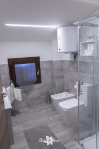 雷焦艾米利亚Casa di Irene的一间带卫生间和玻璃淋浴间的浴室