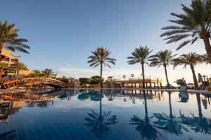 亚喀巴亚喀巴洲际酒店的一座棕榈树和桥梁游泳池