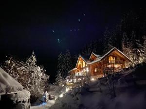 巴德小基希海姆Chalet Caprea的小木屋,晚上有雪灯
