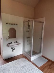 IzelBienvenue en Gaume !的带淋浴和盥洗盆的浴室