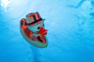 马赛LES SUITES LOVE 1 SPA VUE MER PISCINe的顶帽上的玻璃鸟坐在水里
