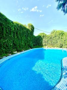塔什干Ridon Lux Hotel的一个被绿色树环绕的大型蓝色游泳池