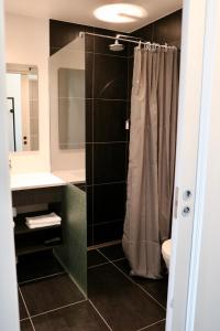 努克Hotel Aurora的浴室配有淋浴帘和盥洗盆。