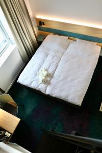 努克Hotel Aurora的一只白狗躺在房间里的床边