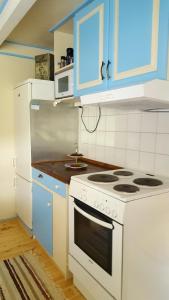 TornesKjørsvik Øvre的厨房配有白色炉灶和蓝色橱柜。