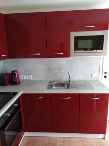 BludovUbytování Bludov u lázní的红色的厨房配有水槽和微波炉