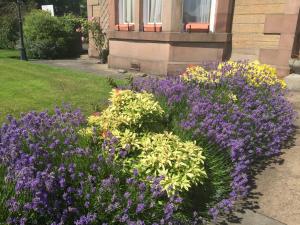 爱丁堡Dorstan House的一座鲜花盛开的花园,位于一座房子前面