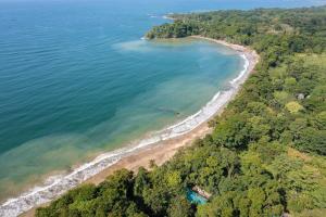 别霍港aWà Beach Hotel的树木繁茂的海滩空中景色