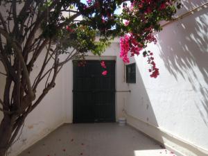 马赫迪耶House with Wala Garden的白色墙上的黑色门,上面有粉红色的花朵