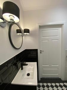 斯塔加德什切青Apartament Platinum Park的一间带水槽和镜子的浴室