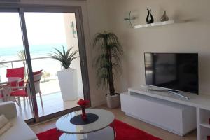 卡拉米洛Modern apartment with stunning sea view的客厅配有平面电视和植物