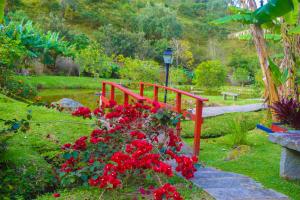 新弗里堡Hospedaria Rancho Ferreira的花园中一座红色的桥,花朵繁盛