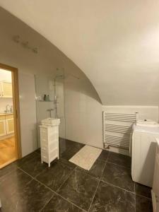 卡丹Apartmány u sv. Michaela的带淋浴、盥洗盆和卫生间的浴室