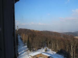 HainHochwaldbaude的享有雪覆盖森林和大楼的景色
