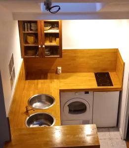 马恩河畔的尚格尼STUDIO PROCHE PARIS ET DISNEYLAND PARIS的一个带水槽和水槽的小厨房