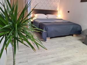 布拉索夫Casa Cibian的一间卧室配有一张床和盆栽植物