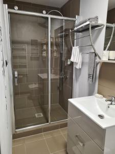 布拉索夫Casa Cibian的一间带玻璃淋浴和水槽的浴室
