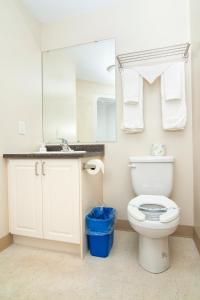 北湾北湾会议中心公寓的一间带卫生间、水槽和镜子的浴室