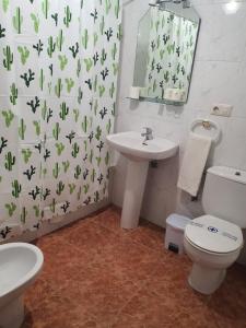 帕洛斯德拉夫龙特拉Los Príncipes的一间带水槽、卫生间和镜子的浴室