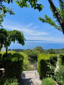 伯德古拉玛丽加别墅的花园享有海景。