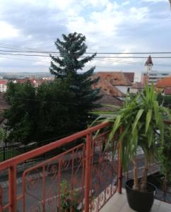 锡比乌Check-In Kaya的阳台上的松树,带栅栏
