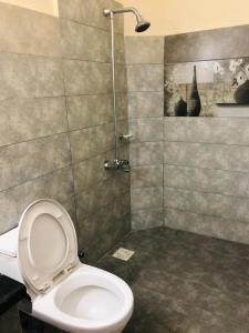 罕萨Green Guest House Altit Hunza的一间带卫生间和淋浴的浴室