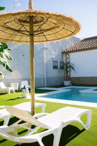 科尔多瓦Casa rural El Olivo de Córdoba的一把草伞和两张躺椅,位于游泳池旁