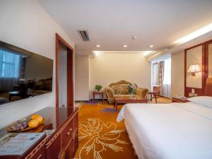 佛山维也纳酒店佛山禅城祖庙店的酒店客房设有床和客厅。