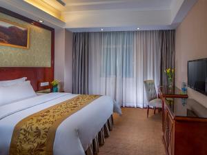 广州维也纳酒店广州机场②店的酒店客房设有一张大床和一台电视。