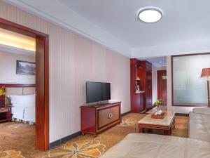 龙岗维也纳酒店深圳龙岗南联店的带沙发和平面电视的客厅