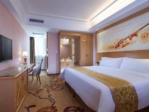 广州维也纳3好酒店广州番禺金江大道店的酒店客房设有一张大床和一台电视。