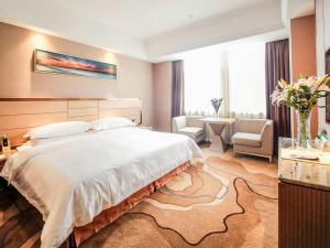 武汉维也纳国际酒店武汉街道口店的一间带大床的卧室和一间客厅