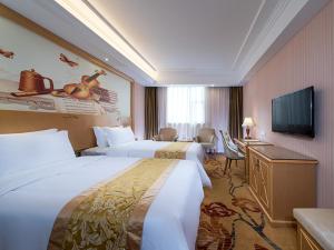 广州维也纳3好酒店广州番禺金江大道店的酒店客房设有两张床和一台平面电视。