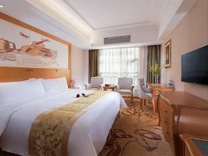 惠州维也纳酒店广东惠州淡水白云路店的酒店客房设有一张大床和一台电视。