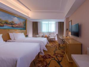 深圳维也纳酒店深圳罗芳店的酒店客房设有两张床和电视。