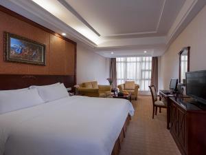 龙岗维也纳酒店深圳坪地店的酒店客房设有一张大床和一台电视。