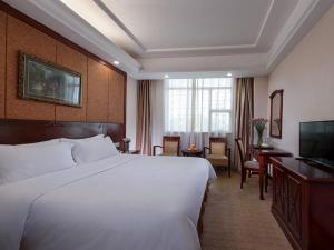 龙岗维也纳酒店深圳坪地店的酒店客房设有一张大床和一台电视。