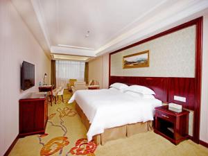 宝安维也纳酒店深圳石岩石龙社区店的酒店客房设有一张大床和一台电视。