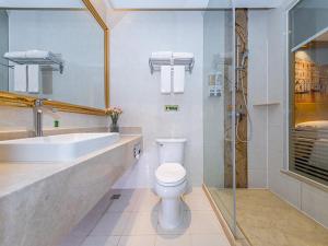 武汉维也纳酒店武汉盘龙城店的浴室配有卫生间、盥洗盆和淋浴。
