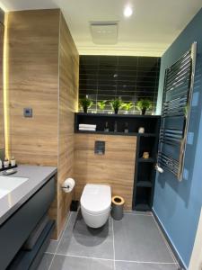 贝尔格莱德DOM Boutique Apartments - Park View的一间带卫生间和水槽的浴室