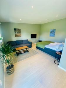 恩厄尔霍尔姆Enkegården Gårdshotell的一间卧室配有一张床、一张沙发和一台电视。