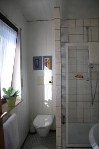 吕格德Ferienwohnung Naturfreund的带淋浴、卫生间和盥洗盆的浴室