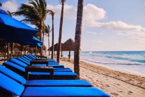 坎昆坎昆NYX酒店的海滩上一排蓝色沙滩椅和棕榈树