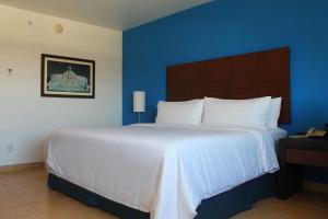 梅里达Holiday Inn Express Mérida, an IHG Hotel的一间卧室设有一张蓝色墙壁的大床