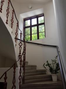 HoštejnSchupplerova vila的楼梯,窗户和盆栽