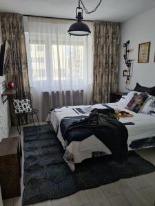 布拉索夫Tonic Studio Coresi的一间卧室设有一张大床和一个窗户。