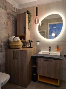 布拉索夫Tonic Studio Coresi的一间带水槽和镜子的浴室