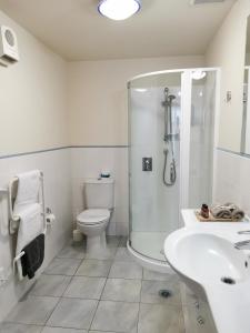 芒格努伊山安克雷奇公寓的带淋浴、卫生间和盥洗盆的浴室